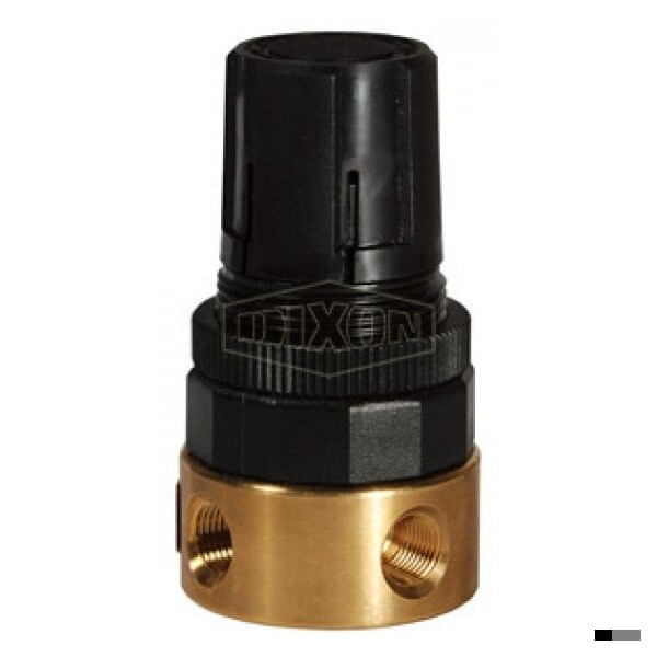 Wilkerson by Miniature Water Regulator without Gauge, 1/4 in NPT/BSPP-G, 2 to 125 psig Adjustable Pr